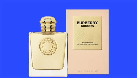 what does burberry cologne smell like|cologne similar to Burberry touch.